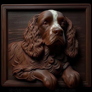 3D model st French Spaniel dog (STL)